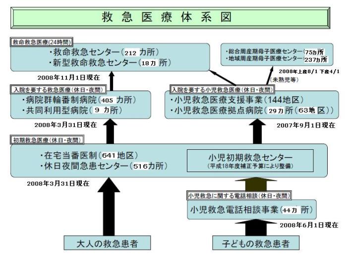 日本の救急医療体制（重症度に応じた医療機関の整備）